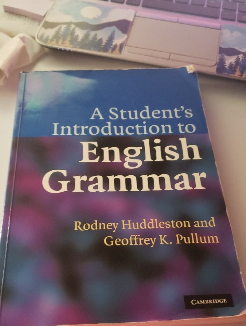 Cambridge A Student's Introduction to English Grammar - Blue/Purple book
